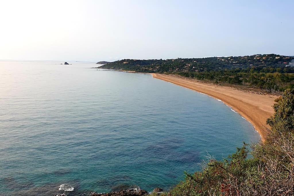 L'Original, Superbe Appartement A 5Min De La Plage Zonza Zewnętrze zdjęcie