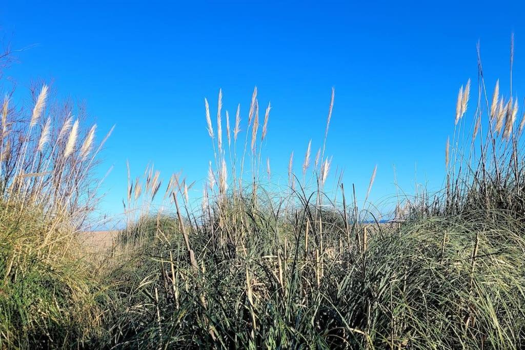 L'Original, Superbe Appartement A 5Min De La Plage Zonza Zewnętrze zdjęcie