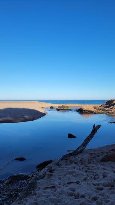 L'Original, Superbe Appartement A 5Min De La Plage Zonza Zewnętrze zdjęcie