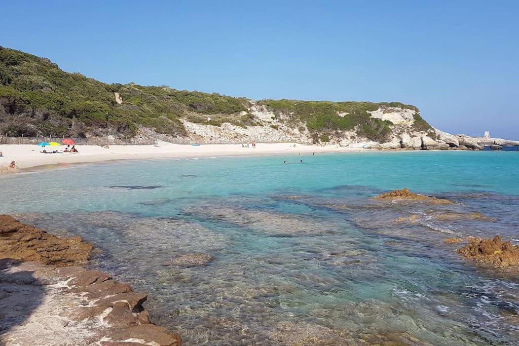 L'Original, Superbe Appartement A 5Min De La Plage Zonza Zewnętrze zdjęcie