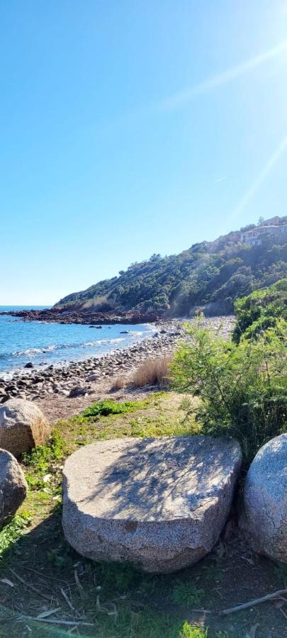 L'Original, Superbe Appartement A 5Min De La Plage Zonza Zewnętrze zdjęcie